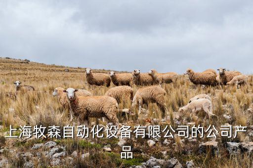 上海牧森自動(dòng)化設(shè)備有限公司的公司產(chǎn)品