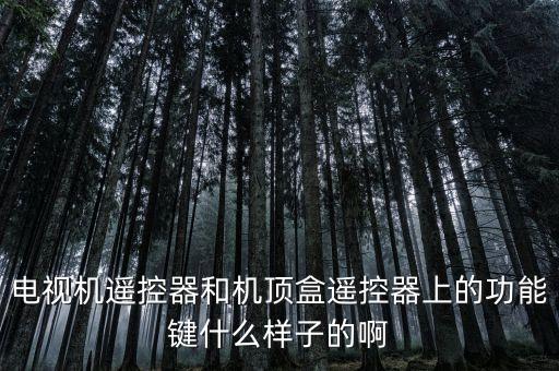 電視遙控器圖片，我的電視遙控器如圖電視機(jī)上標(biāo)有高清數(shù)碼原來(lái)有好多節(jié)目