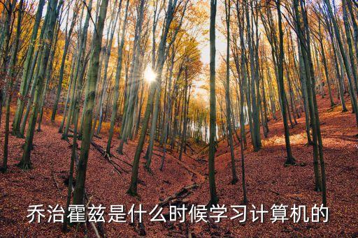 喬治霍茲是什么時候?qū)W習計算機的