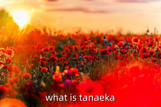 what is tanaeka