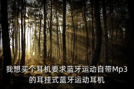 我想買個耳機要求藍牙運動自帶Mp3的耳掛式藍牙運動耳機