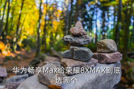 華為暢享Max給榮耀8XMAX到底選哪個(gè)