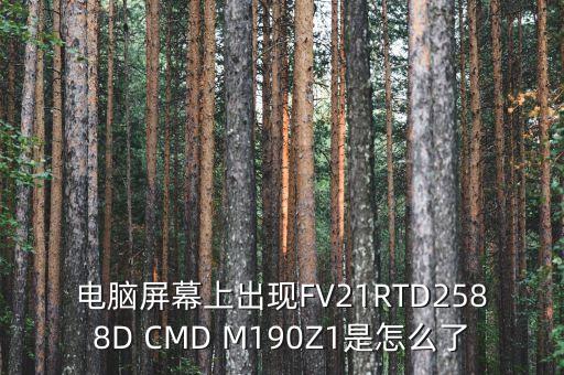 FV2，科匯鴿鐘fv2光纖能用嗎
