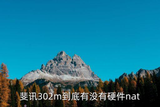 斐訊302m到底有沒有硬件nat