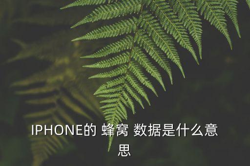 iphone蜂窩數(shù)據(jù)用于,iPhone自動切換蜂窩數(shù)據(jù)