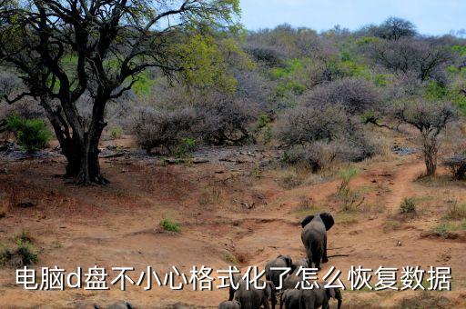 電腦d盤不小心格式化了怎么恢復數(shù)據(jù)
