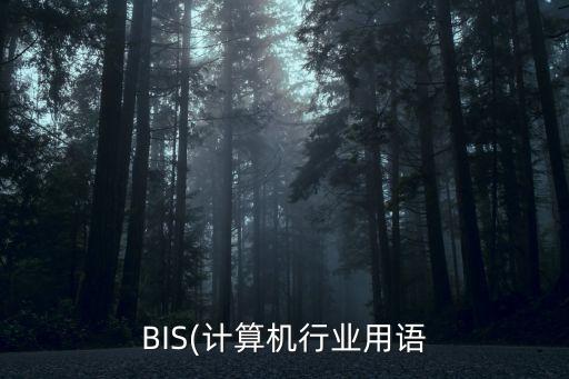 BIS(計(jì)算機(jī)行業(yè)用語