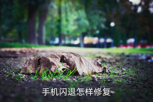 旅行青蛙數(shù)據(jù)恢復(fù)