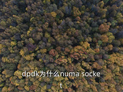 dpdk為什么numa socket