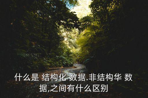 什么是 結(jié)構(gòu)化 數(shù)據(jù).非結(jié)構(gòu)華 數(shù)據(jù),之間有什么區(qū)別