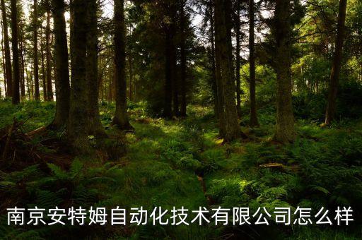 南京安特姆自動化技術(shù)有限公司怎么樣