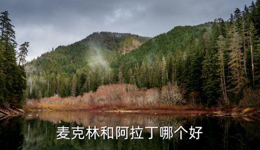 阿拉丁數(shù)據(jù)分析,麥拉丁和阿拉丁哪個好?一個更好!