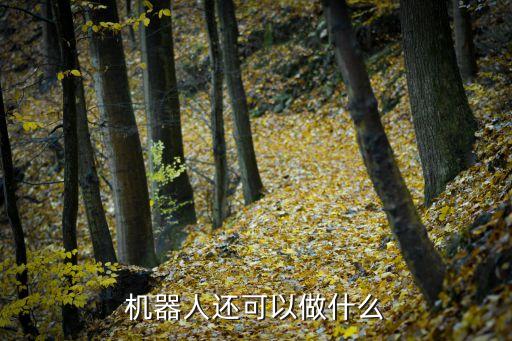 生活服務機器人,智能機器人在生活服務上可幫助人類做什么?