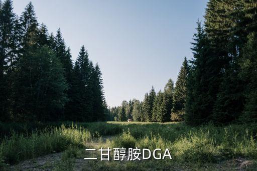 二甘醇胺DGA
