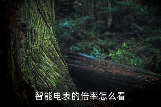 智能電表的倍率怎么看
