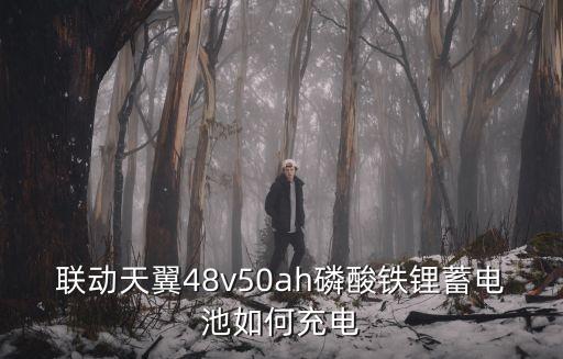 聯(lián)動天翼48v50ah磷酸鐵鋰蓄電池如何充電