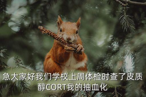 急大家好我們學(xué)校上周體檢時查了皮質(zhì)醇CORT我的抽血化