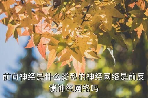 神經(jīng)網(wǎng)絡(luò)分類，神經(jīng)網(wǎng)絡(luò)的種類有那些主要區(qū)別是什么