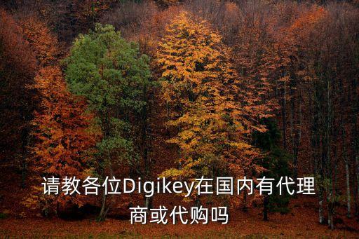 請教各位Digikey在國內有代理商或代購嗎