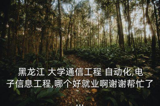  黑龍江 大學(xué)通信工程 自動化,電子信息工程,哪個好就業(yè)啊謝謝幫忙了...