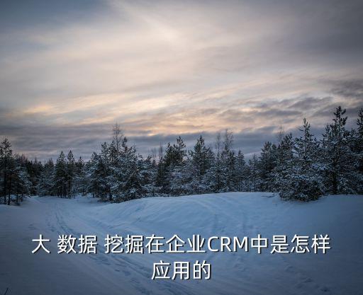 大 數(shù)據(jù) 挖掘在企業(yè)CRM中是怎樣應(yīng)用的