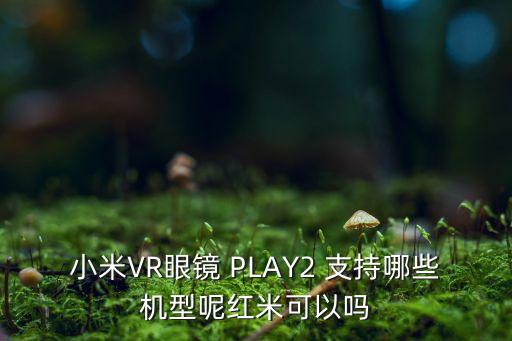 小米VR眼鏡 PLAY2 支持哪些機型呢紅米可以嗎
