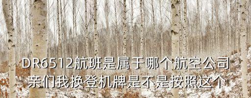 DR6512航班是屬于哪個航空公司 親們我換登機(jī)牌是不是按照這個