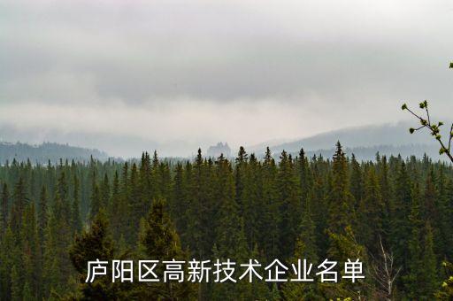 廬陽(yáng)區(qū)高新技術(shù)企業(yè)名單