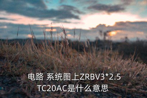  電路 系統(tǒng)圖上ZRBV3*2.5TC20AC是什么意思