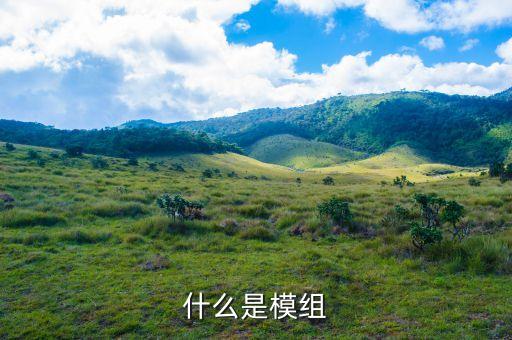 什么是模組