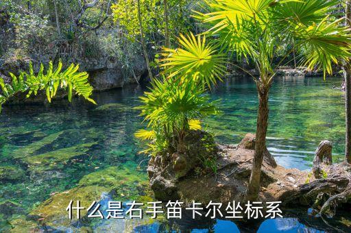什么是右手笛卡爾坐標(biāo)系