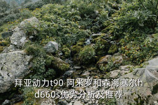 hd660s，喜歡寬闊的聲場和質(zhì)感的低音已有森海HD599有必要換HD660S