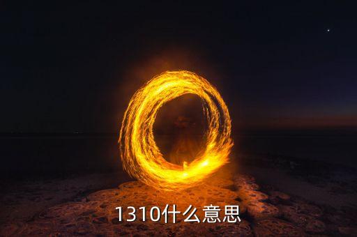 1310什么意思
