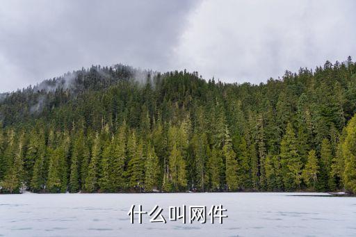 什么叫網(wǎng)件