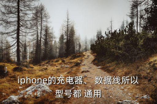 4s和4的數(shù)據(jù)線通用嗎,OPPO數(shù)據(jù)線通用嗎