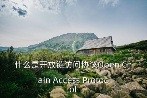 arcblock，請教 關于 ARC 下 Block中 一些對象變量使用
