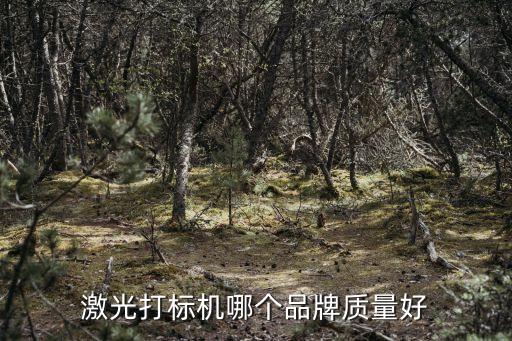 激光打標機哪個品牌質(zhì)量好