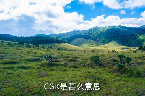 cgk，CGK是甚么意思