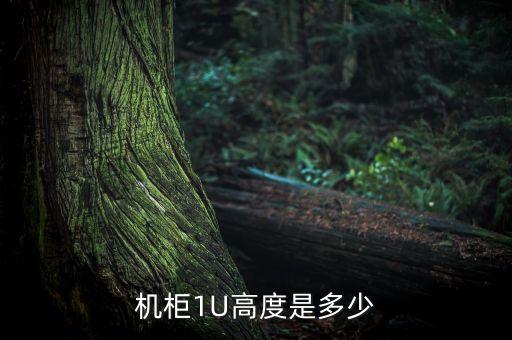 機柜1U高度是多少