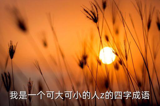 我是一個(gè)可大可小的人z的四字成語(yǔ)