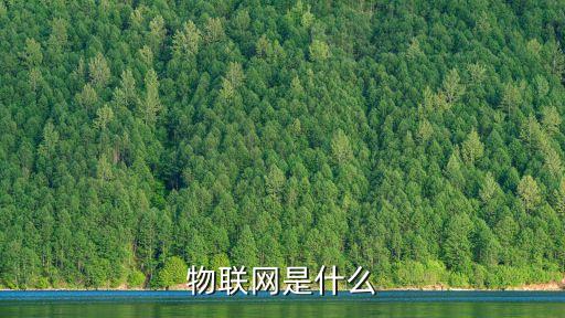 物聯(lián)網(wǎng)是什么