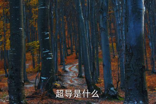 超導(dǎo)是什么