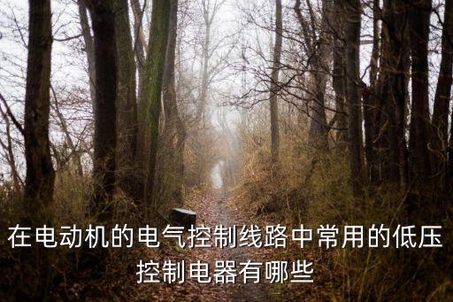 在電動機的電氣控制線路中常用的低壓控制電器有哪些