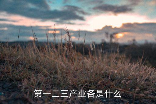 第一二三產(chǎn)業(yè)各是什么