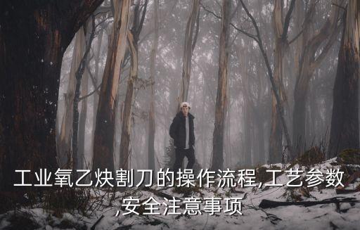 溶解乙炔設(shè)備自動化設(shè)計(jì),氣瓶設(shè)計(jì)與制造應(yīng)符合標(biāo)準(zhǔn)