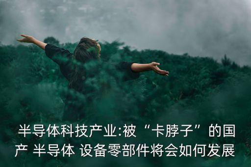  半導體科技產(chǎn)業(yè):被“卡脖子”的國產(chǎn) 半導體 設(shè)備零部件將會如何發(fā)展
