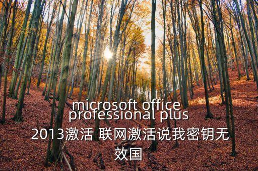 microsoft office professional plus 2013激活 聯(lián)網(wǎng)激活說我密鑰無效國