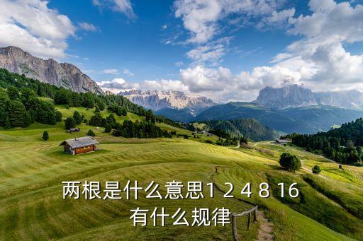 兩根是什么意思1 2 4 8 16有什么規(guī)律