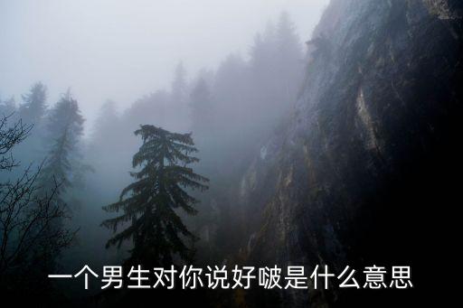 一個(gè)男生對(duì)你說(shuō)好啵是什么意思