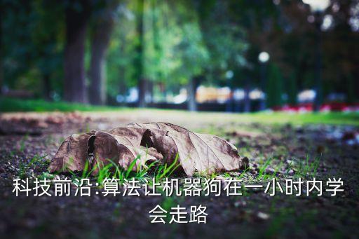 科技前沿:算法讓機(jī)器狗在一小時(shí)內(nèi)學(xué)會走路
